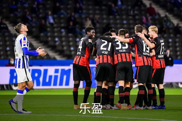 乐盈公司简介